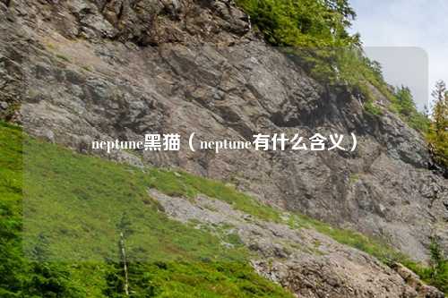 neptune黑猫(neptune有什么含义)