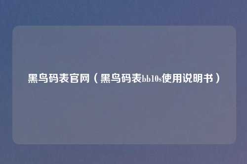 黑鸟码表官网(黑鸟码表bb10s使用说明书)