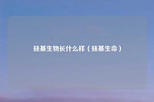 硅基生物长什么样(硅基生命)