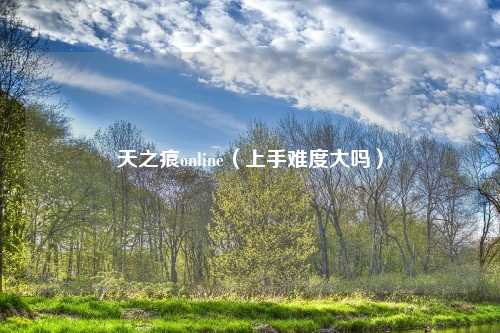 天之痕online(上手难度大吗)