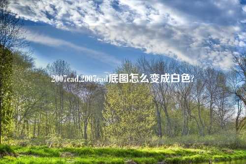 2007cad,2007cad底图怎么变成白色?