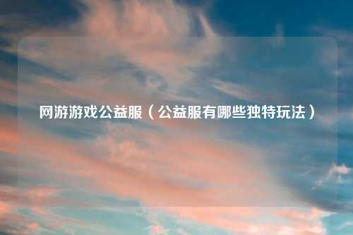 网游游戏公益服(公益服有哪些独特玩法)