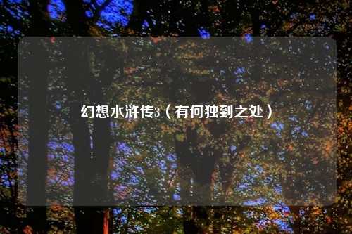 幻想水浒传3(有何独到之处)