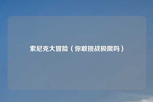 索尼克大冒险(你敢挑战极限吗)