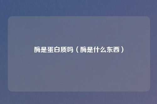 酶是蛋白质吗(酶是什么东西)