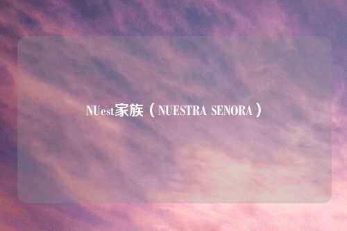 NUest家族(NUESTRA SENORA)