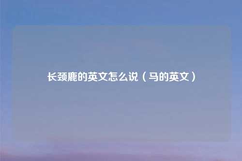 长颈鹿的英文怎么说(马的英文)