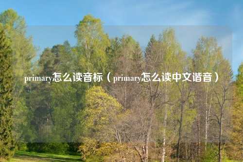 primary怎么读音标(primary怎么读中文谐音)