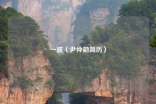 一波（尹仲勋简历）