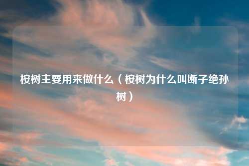 桉树主要用来做什么(桉树为什么叫断子绝孙树)