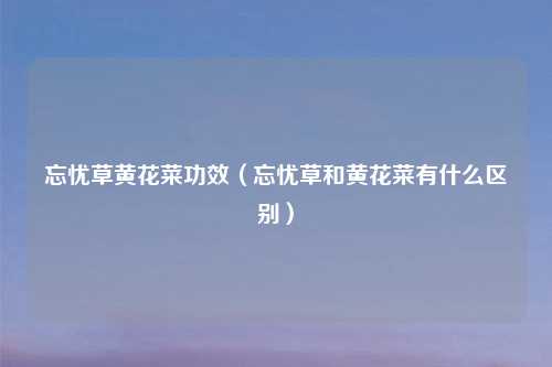 忘忧草黄花菜功效(忘忧草和黄花菜有什么区别)