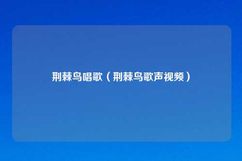 荆棘鸟唱歌(荆棘鸟歌声视频)
