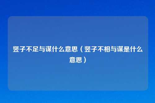 竖子不足与谋什么意思(竖子不相与谋是什么意思)