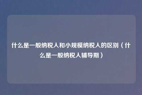 什么是一般纳税人和小规模纳税人的区别(什么是一般纳税人辅导期)