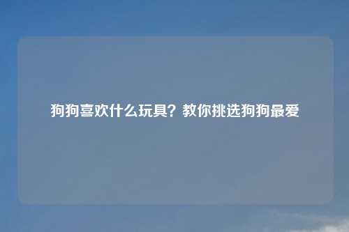 狗狗喜欢什么玩具?教你挑选狗狗更爱