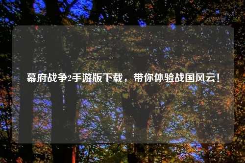 幕府战争2手游版下载，带你体验战国风云！