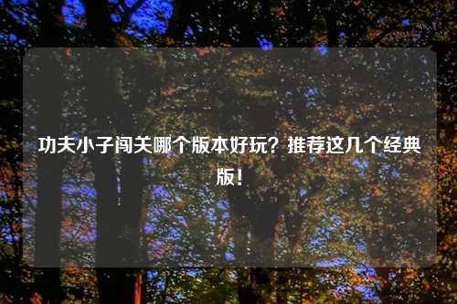 功夫小子闯关哪个版本好玩？推荐这几个经典版！