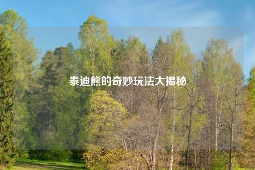 泰迪熊的奇妙玩法大揭秘