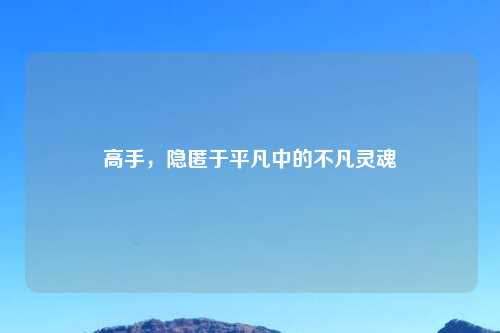 高手,隐匿于平凡中的不凡灵魂