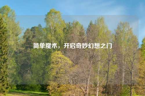 简单魔术,开启奇妙幻想之门
