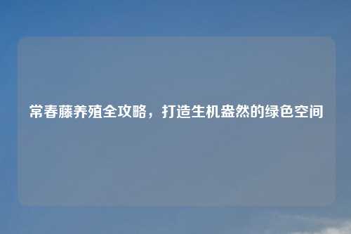 常春藤养殖全攻略，打造生机盎然的绿色空间