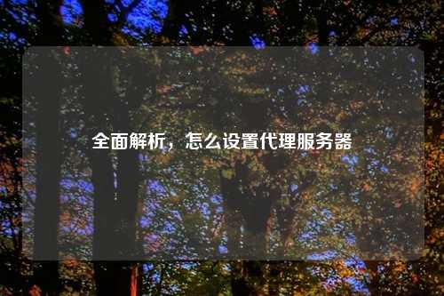 全面解析，怎么设置     服务器