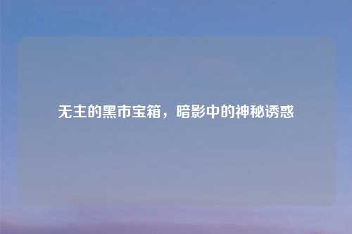 无主的黑市宝箱，暗影中的神秘诱惑