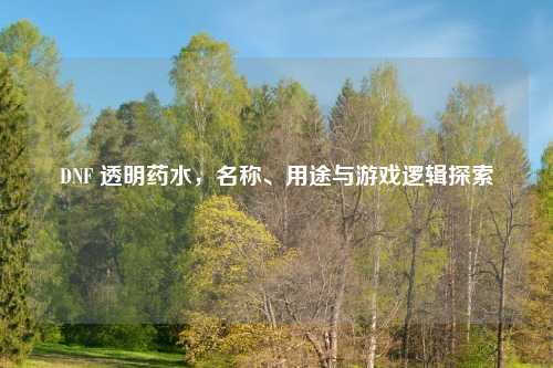 DNF 透明药水，名称、用途与游戏逻辑探索