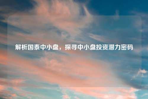 解析国泰中小盘,探寻中小盘投资潜力密码