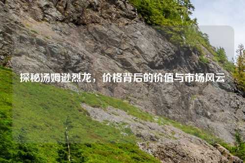 探秘汤姆逊烈龙，价格背后的价值与市场风云