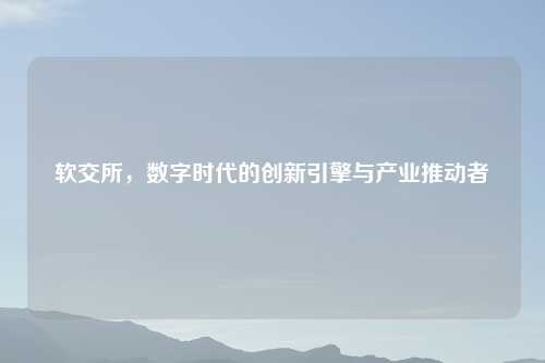 软交所，数字时代的创新引擎与产业推动者
