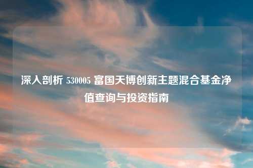 深入剖析 530005 富国天博创新主题混合基金净值查询与投资指南