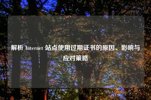 解析 Internet 站点使用过期证书的原因、影响与应对策略