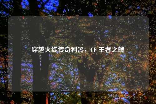 穿越火线传奇利器,CF 王者之魄