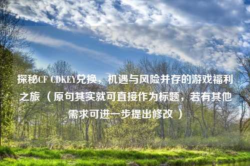 探秘CF CDKEY兑换，机遇与风险并存的游戏福利之旅 （原句其实就可直接作为标题，若有其他需求可进一步提出修改 ）