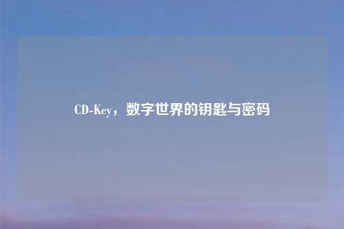 CD-Key，数字世界的钥匙与密码