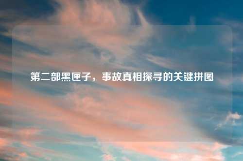 第二部黑匣子，事故真相探寻的关键拼图