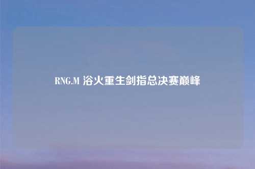 RNG.M 浴火重生剑指总决赛巅峰