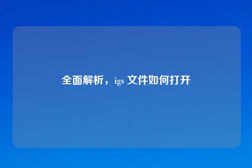全面解析,igs 文件如何打开