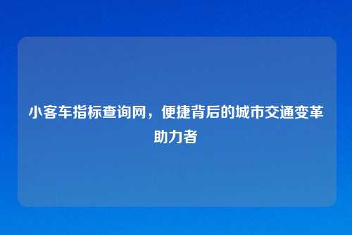 小客车指标查询网,便捷背后的城市交通变革助力者