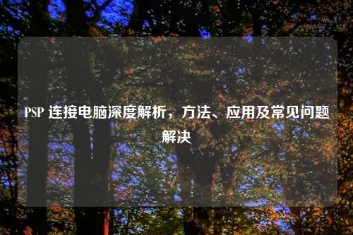 PSP 连接电脑深度解析，     、应用及常见问题解决