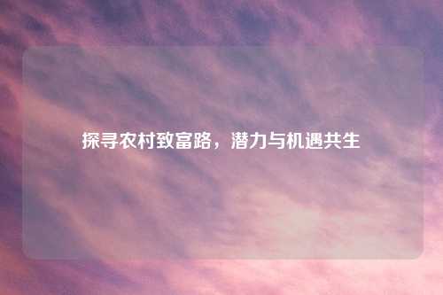 探寻农村致富路,潜力与机遇共生