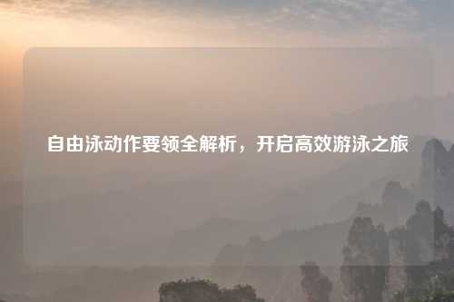 自由泳动作要领全解析,开启高效游泳之旅