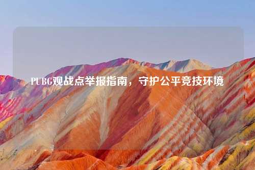 PUBG观战点举报指南,守护公平竞技环境