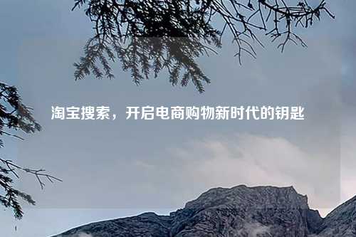      搜索，开启电商购物新时代的钥匙