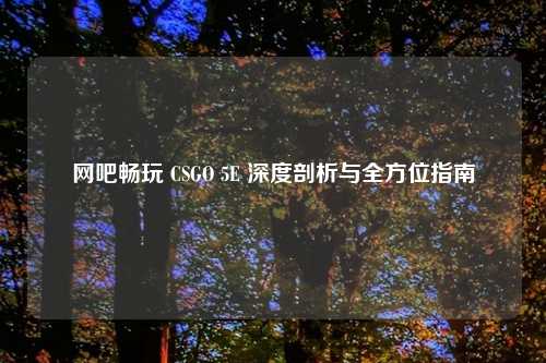 网吧畅玩 CSGO 5E 深度剖析与全方位指南