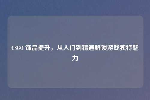 CSGO 饰品提升，从入门到精通解锁游戏独特魅力
