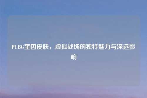 PUBG奎因皮肤，虚拟战场的独特魅力与深远影响