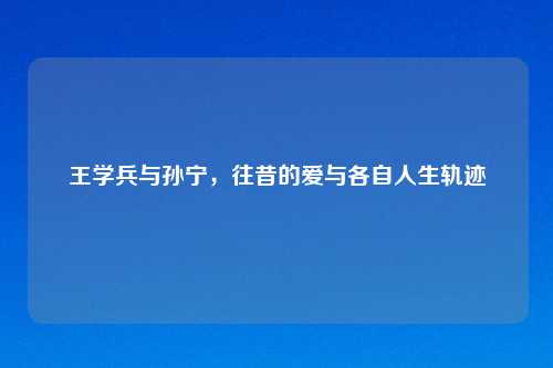 王学兵与孙宁，往昔的爱与各自人生轨迹
