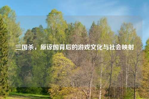 三国杀，原谅国背后的游戏文化与社会映射